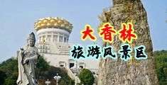 鸡巴艹中国浙江-绍兴大香林旅游风景区